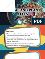 Animal and Plant Cells