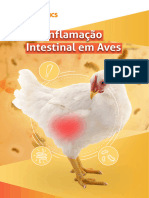 Ebook Phytobiotics - Inflamação Intestinal em Aves