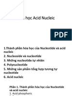 Hóa học Acid Nucleic