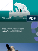 Animals