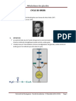 21.bioch2an27 Cycle Krebs