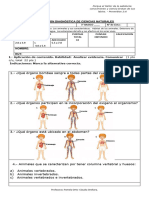 Evaluación Diagnóstico Ciencias Naturales 3°básico