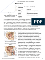 Human Reproductive System - Britannica Online Encyclopedia