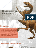 Biodiversity & Evolution