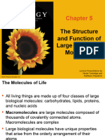 05_Macromolecules Use It