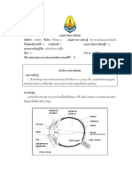 แผนการจัดการเรียนรู้ที่ 11 ตา