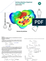 Guiones Practicas-2006