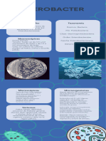 Infografía Científica Moderna Bloques Informativos Verde Turquesa - 20230922 - 125044 - 0000