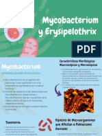 Presentación Biología Células Infantil Orgánico Verde y Azul