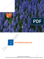 Pattern Recognition