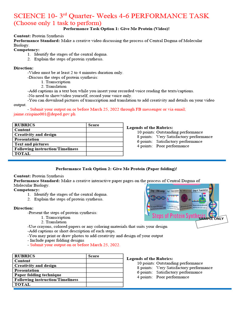 Performance Task-SCI.10 Eeks 4-6 | PDF | Proteins | Translation (Biology)