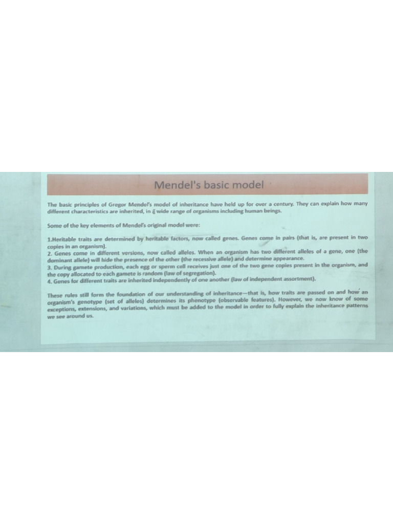 Genetics Lecture Pdf