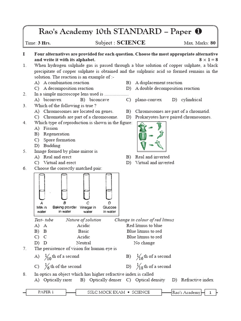 10th Science (EM) 1 | PDF | Periodic Table | Chemical Reactions