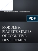 Jean Piaget (1896-1980) Introduced The Stages