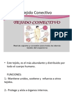 Tejido Conectivo