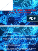 Estructura Molecular de Los Genes Y Cromosomas