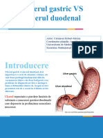 MFSP Varianta Finala