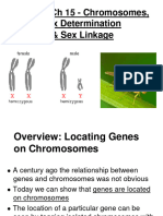 NOTES - CH 15 - Sex Determination - Linkage - Slideshow