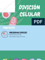 Clase 3 División Celularcelular