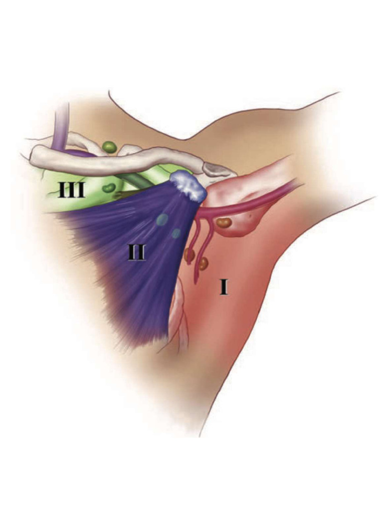 Axillary LN | PDF