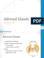 Adrenal Glands Atf