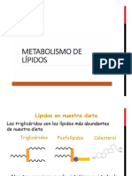 Metabolismo de Lípidos