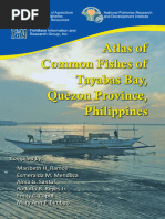 Pakol Fish: Characteristics and Habitat | PDF