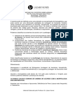 Revisão Do Conteúdo Sobre Anemias