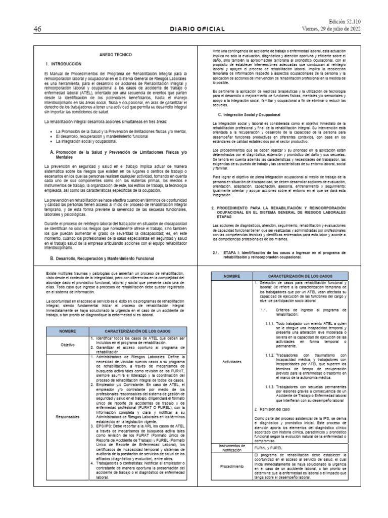 Manual de Rehabilitación Laboral 2022 | PDF | Evaluación | Terapia física