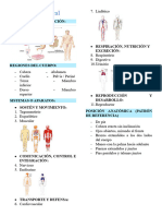 Anatomía General