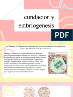 Fecundacion y Embriogenesis