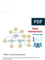Gene Interaction