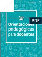 Orientaciones Pedagogicas para Docentes Con Datos 2 Patricia Arista