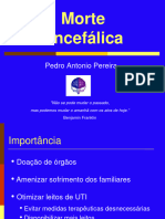 Morte Encefalica Pedro Pereira