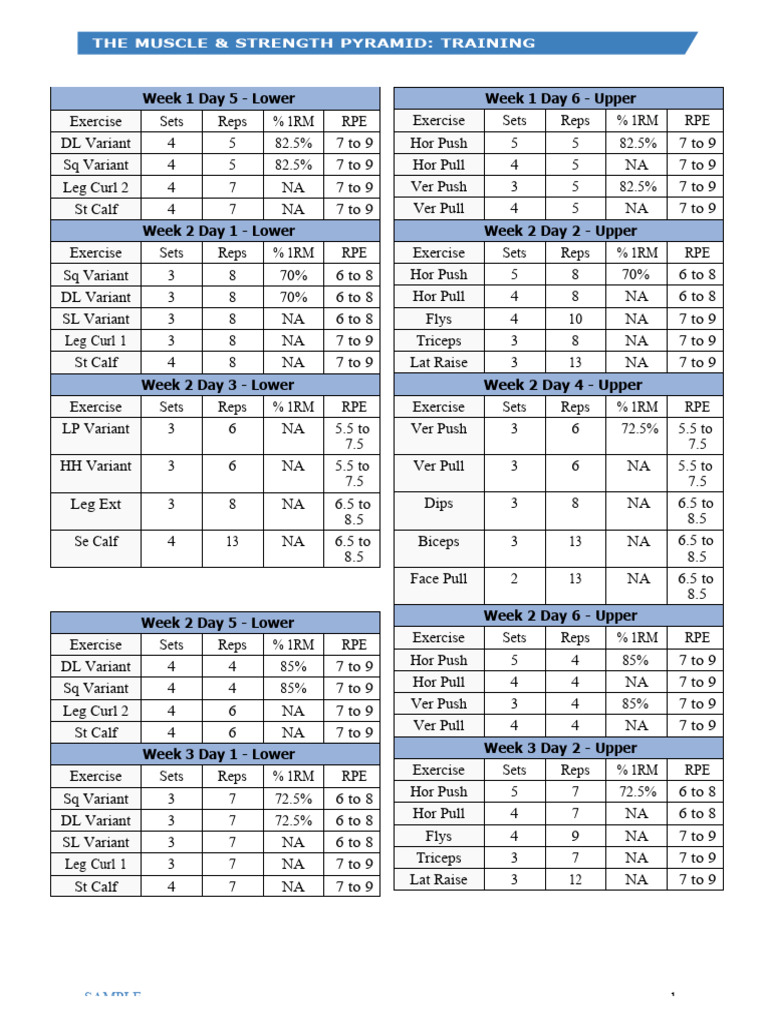 Muscle & Strength Pyramid Training Guide | PDF | Strength Training ...