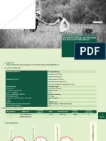 INFORME Rizagrum Maxl EN CEBOLLA..