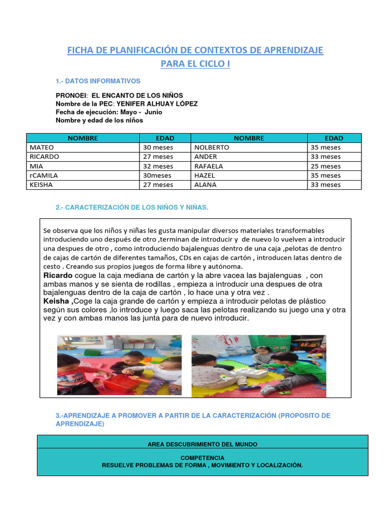 Planificación de Mayo-Junio | PDF | Cognición