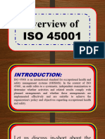 ISO 45001 Audit Scope and Definitions