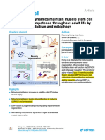 Mitochondrial Dynamics Maintain Muscle Stem Cell Regenerative Competence Throughout Adult Life by Regulating Metabolism and Mitophagy