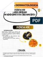 Pediculosis, Larva Migrans y Neurodermatitis Circunscrita 