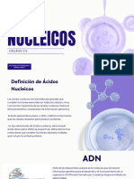 Ácidos Nucleicos