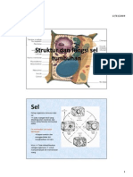 Struktur Dan Fungsi Sel Tumbuhan
