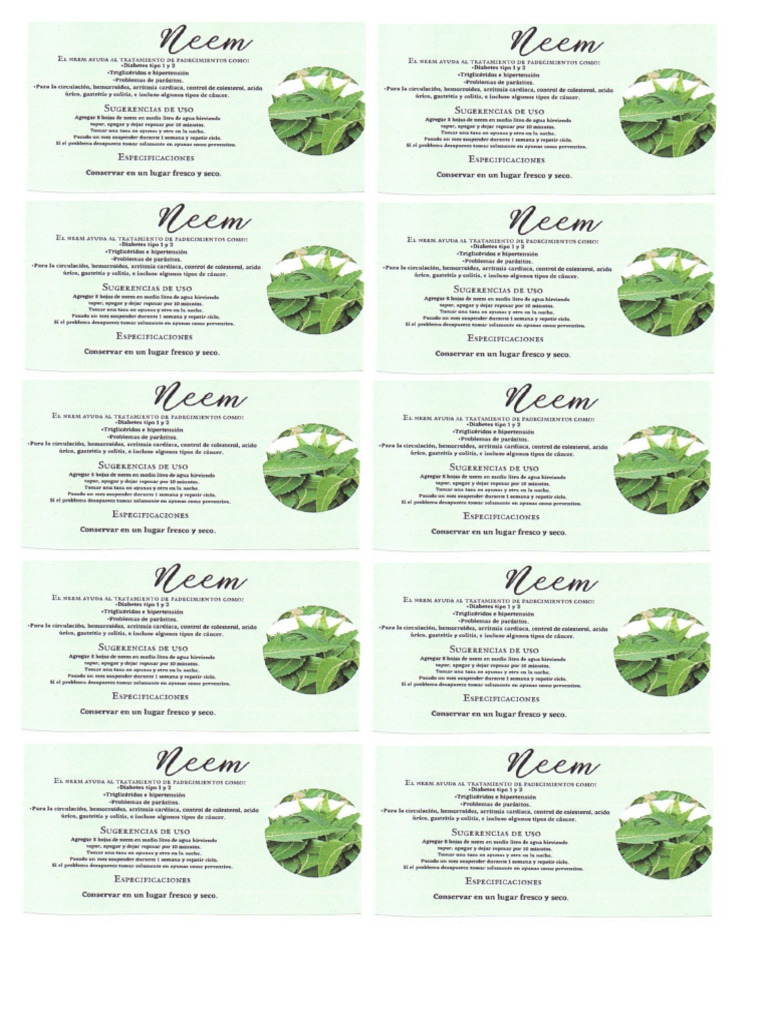 NEEM | PDF