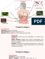 APARATO DIGESTIVO Bacteriología Diagnostica
