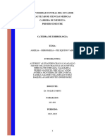 Amelia y Focomelia: Malformaciones Congénitas | PDF | Genética ...