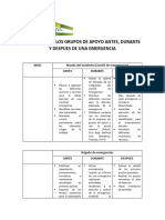 Funciones de Los Grupos de Apoyo Antes Los Pinos