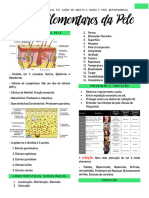 Aula 1 - Ham Iv - Lesões Elementares Da Pele - 240312 - 112249