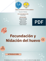 Fecundacion y Nidación Del Huevo.