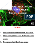 Cancer Lecture 2 - Without - Movies