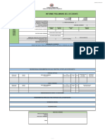 02 Informe Preliminar